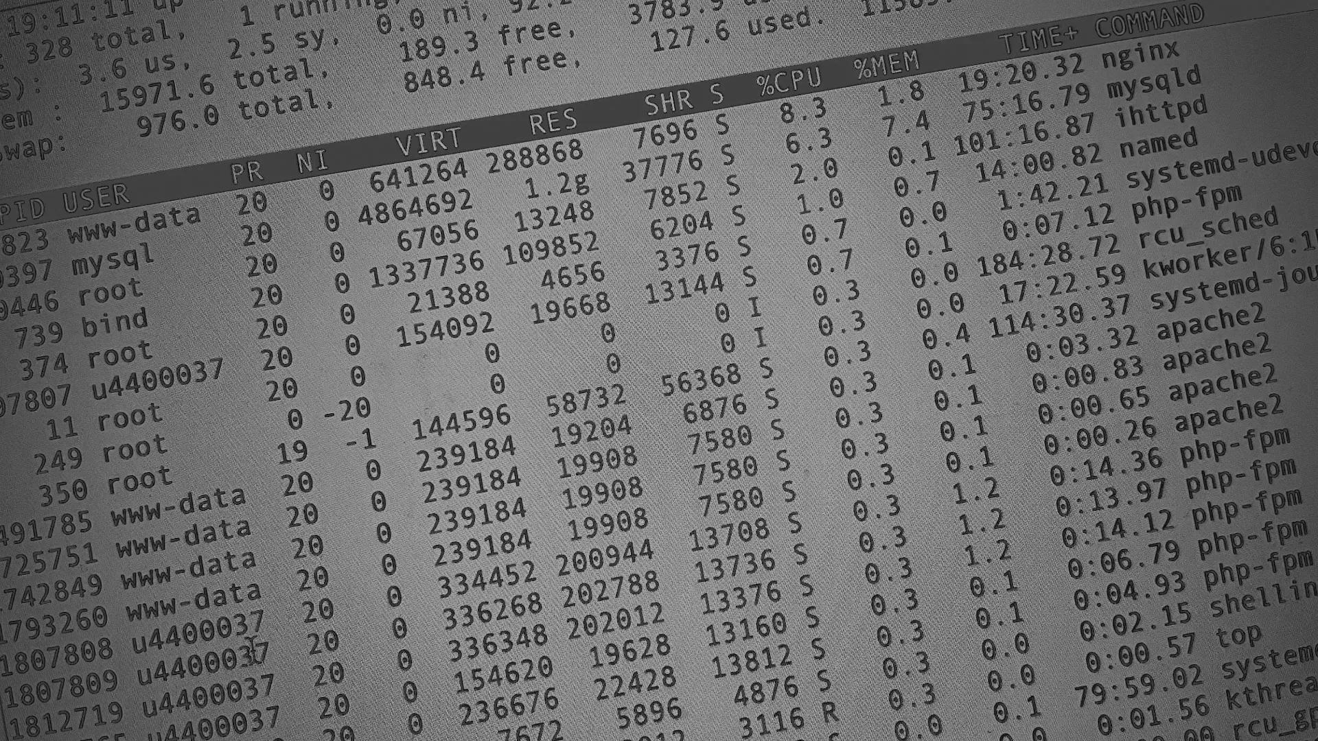 Настройка сервера в Нижней Туре