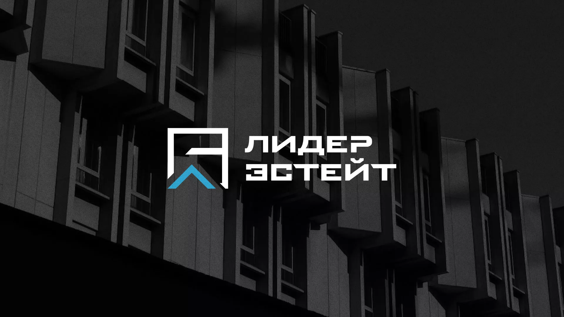 Разработка логотипа агентства недвижимости «Лидер Эстейт» в Нижней Туре