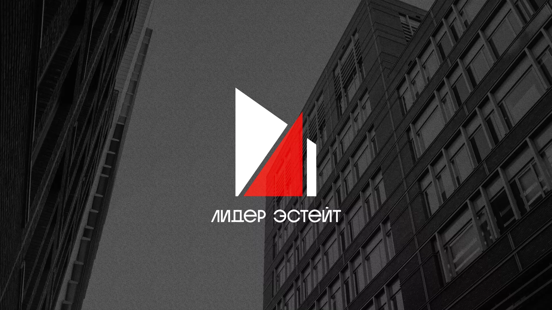 Сделали логотип для агентства недвижимости «Лидер Эстейт» в Нижней Туре